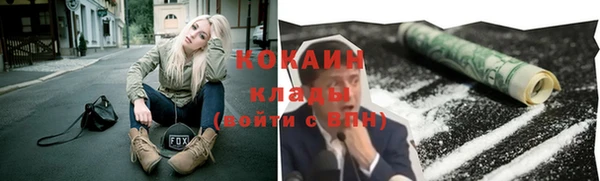 Альфа ПВП Елизово