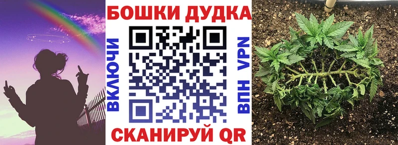 где купить наркоту  Чекалин  Бошки Шишки Amnesia 